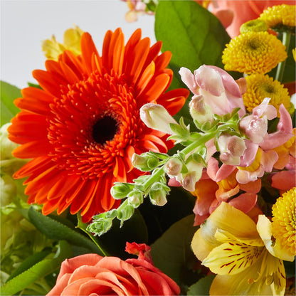 Autumn Sunshine Bouquet –  Sammy Wammy Floral, Montgomery IL