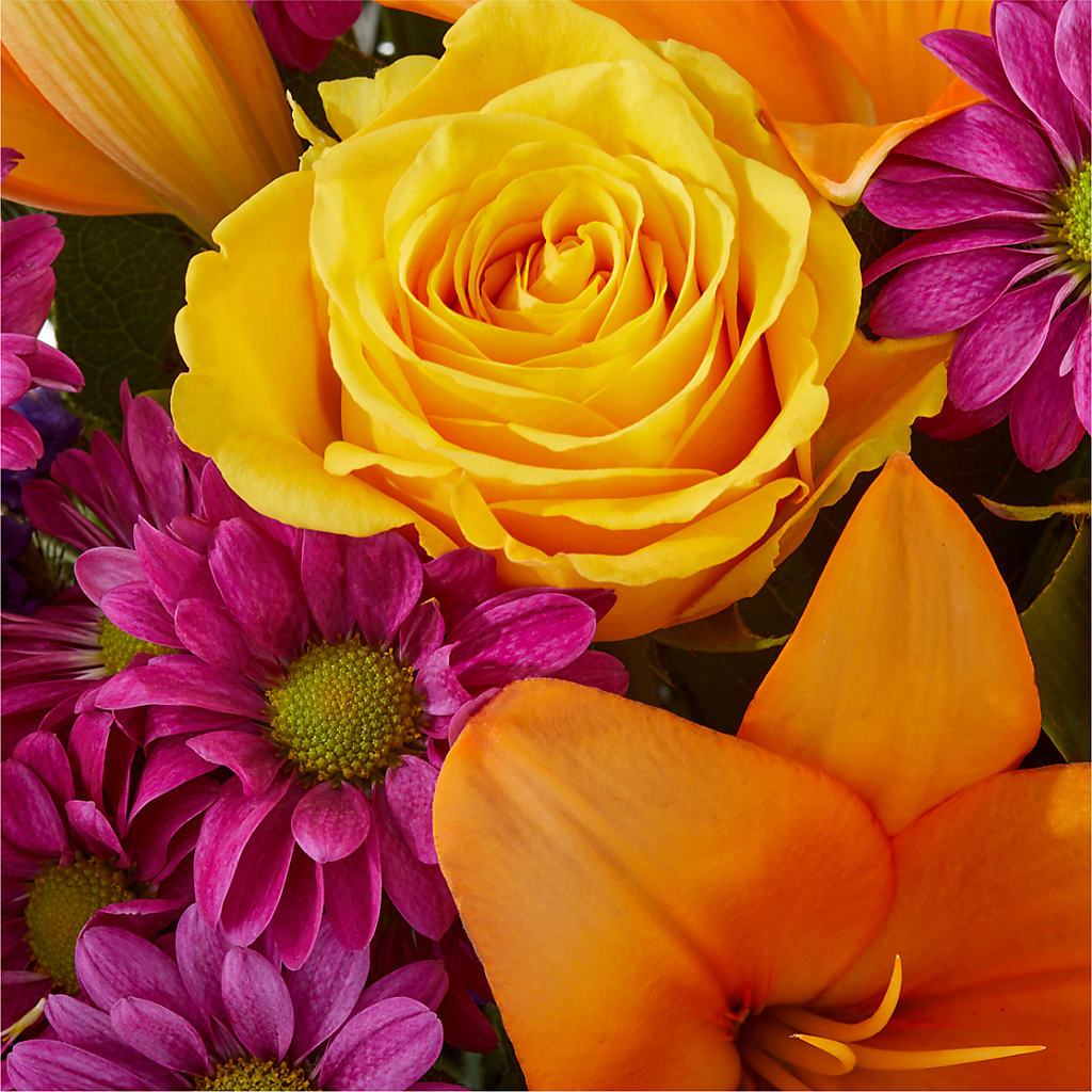 Colorful Visions Bouquet –  Sammy Wammy Floral, Montgomery IL