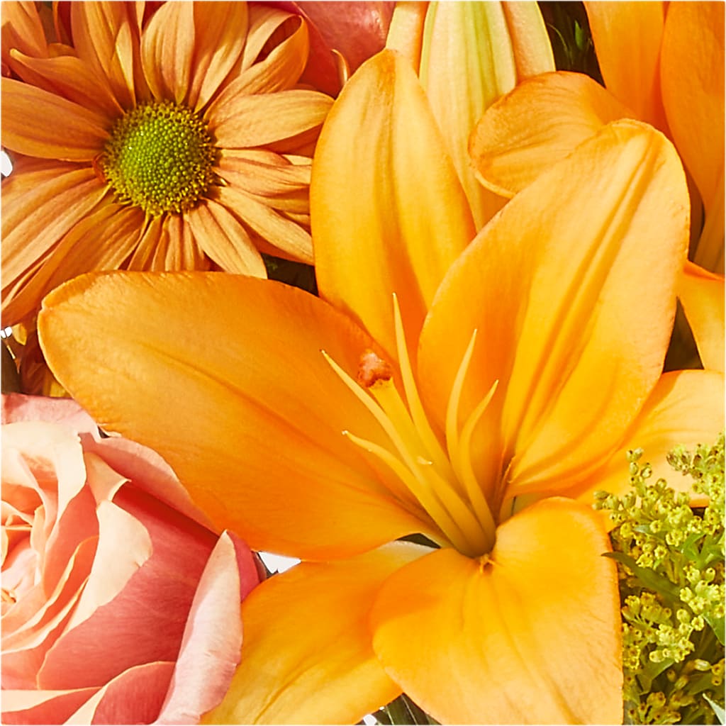 Harvest Hayride Bouquet –  Sammy Wammy Floral, Montgomery IL
