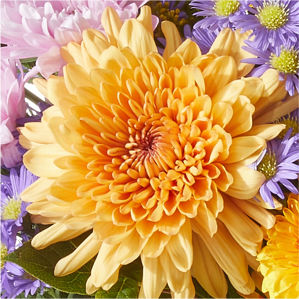 Countryside Bouquet –  Sammy Wammy Floral, Montgomery IL