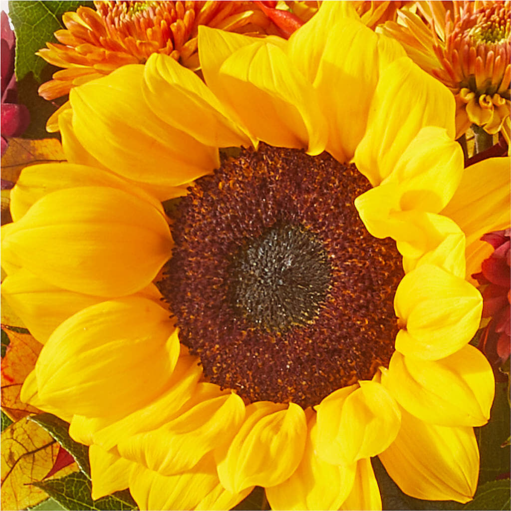 Sunny Side Bouquet –  Sammy Wammy Floral, Montgomery IL
