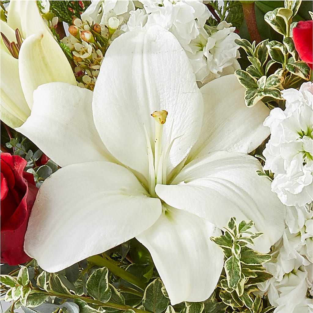 Twinkle Lights Bouquet –  Sammy Wammy Floral, Montgomery IL