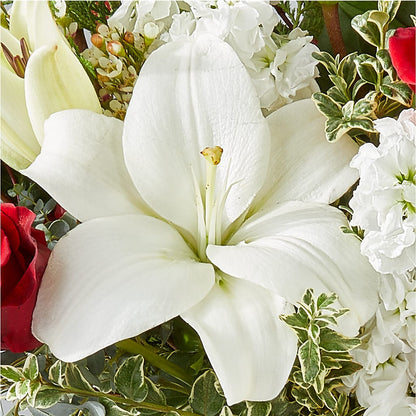 Twinkle Lights Bouquet –  Sammy Wammy Floral, Montgomery IL