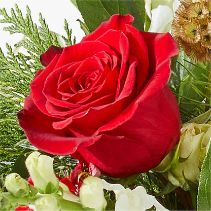 Deck the Halls Bouquet –  Sammy Wammy Floral, Montgomery IL