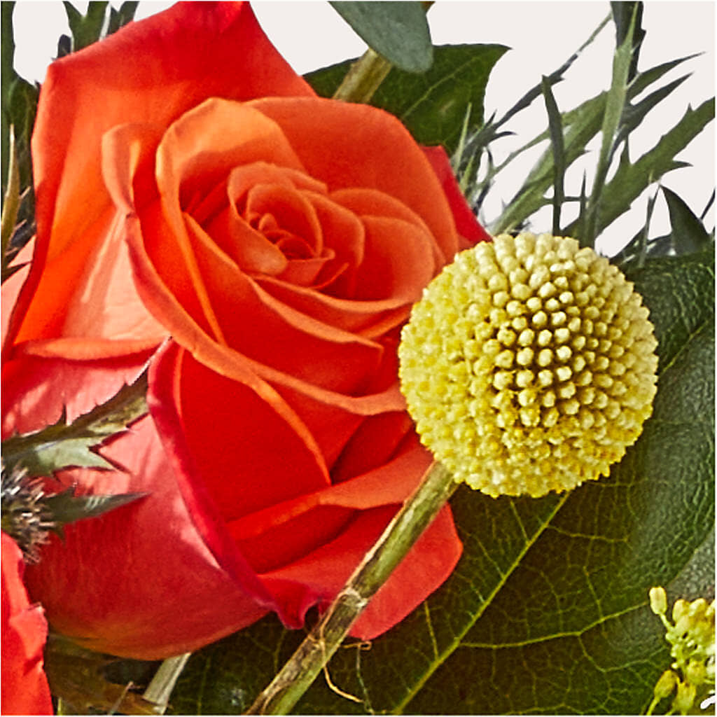 Disco Bouquet –  Sammy Wammy Floral, Montgomery IL