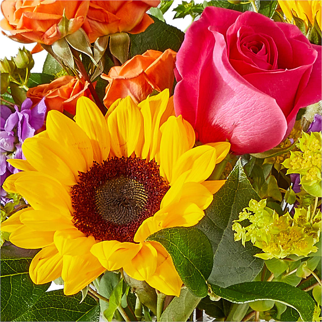 Vibrant Greetings Bouquet –  Sammy Wammy Floral, Montgomery IL