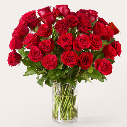 The One Red Rose Bouquet –  Sammy Wammy Floral, Montgomery IL