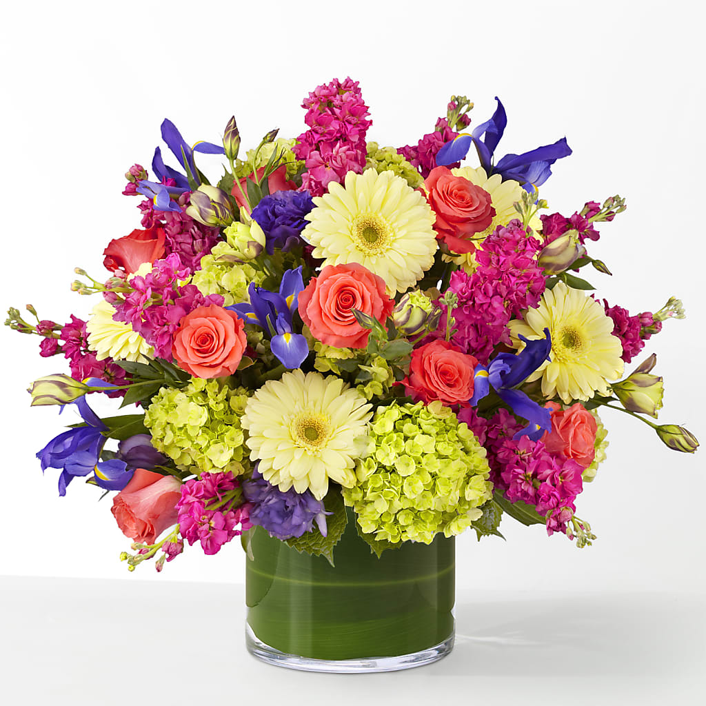 The Couture –  Sammy Wammy Floral, Montgomery IL