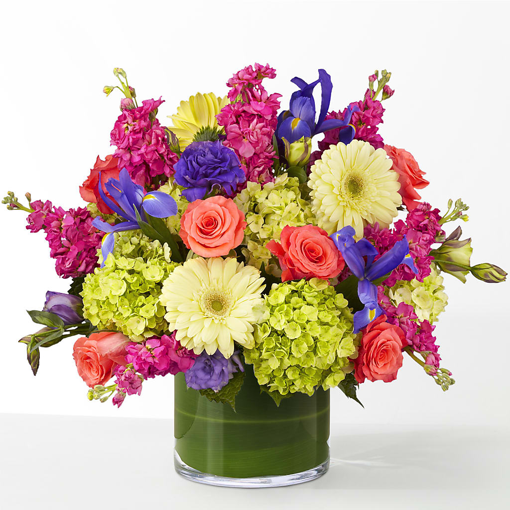 The Couture –  Sammy Wammy Floral, Montgomery IL