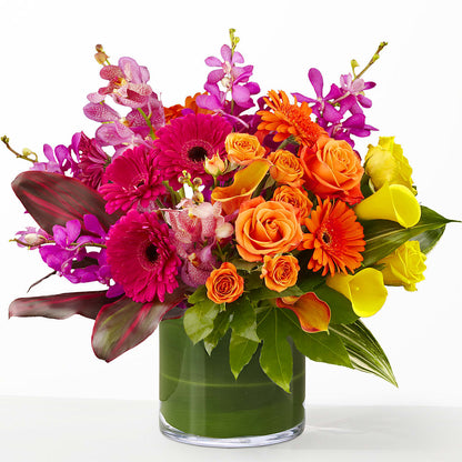 The Mosaic –  Sammy Wammy Floral, Montgomery IL