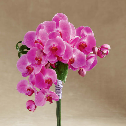 Glorious Bouquet –  Sammy Wammy Floral, Montgomery IL