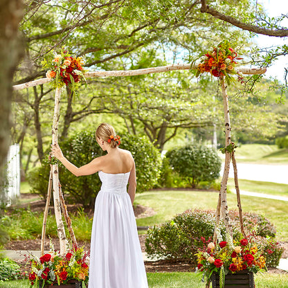 Arbor of Love Archway –  Sammy Wammy Floral, Montgomery IL