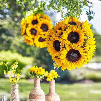 Sublime Garden Hanging Arrangement –  Sammy Wammy Floral, Montgomery IL