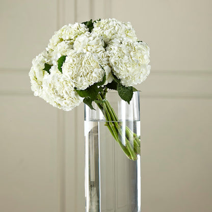 White Hydrangea Hand-Tied Bouquet –  Sammy Wammy Floral, Montgomery IL