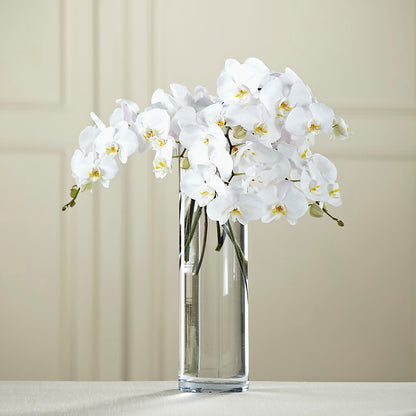 White Phalaenopsis Bouquet –  Sammy Wammy Floral, Montgomery IL