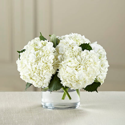 White Hydrangea Bouquet –  Sammy Wammy Floral, Montgomery IL